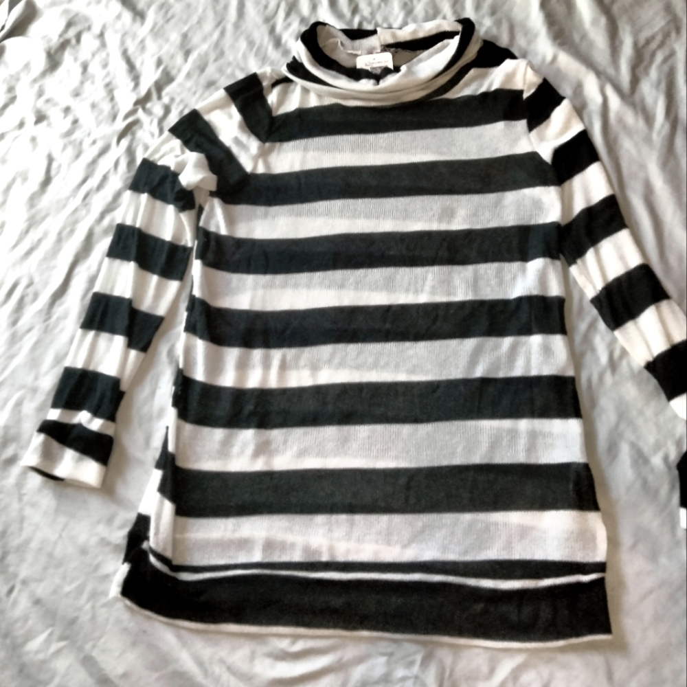 Sheer turtleneck